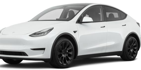 TESLA MODEL Y 2021 5YJYGDEE7MF124834 image